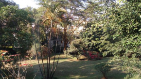 quiet comfortable studio with mature garden view.